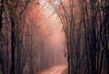 灰熊后卫发誓挑战强敌，气势如虹