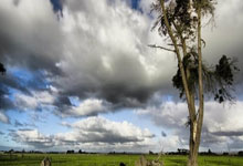 尤文图斯备战对阵皇马的生死战