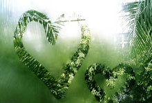 苏宁大胜富力！强势登顶，苏宁稳住积分榜头名