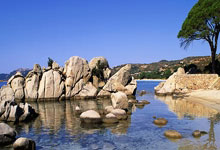 球迷热衷于关注国际篮球比赛：跨越国界的热情与连结