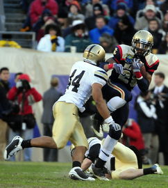 开云体育在线登入-200蝶滑行距离：美选手更擅前段推进，滑蝶游身步